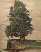 Albrecht Durer, Linden Tree on a Bastion